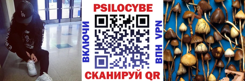Купить закладки Теберда Галлюциногенные грибы MAGIC MUSHROOMS